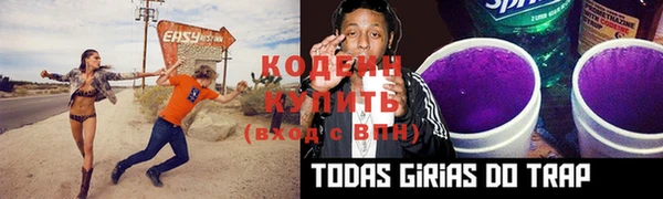 спиды Ладушкин