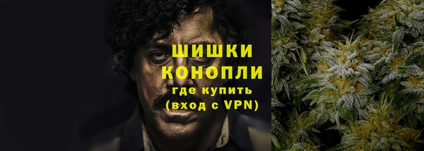 спиды Ладушкин