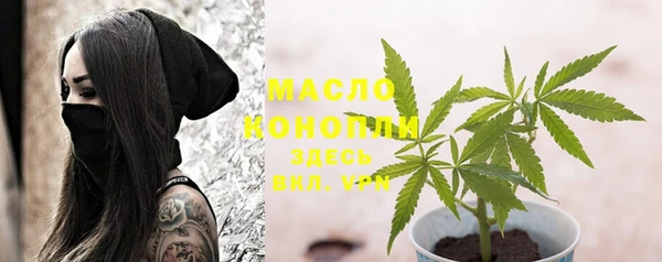 спиды Ладушкин