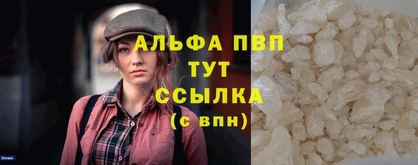 спиды Ладушкин