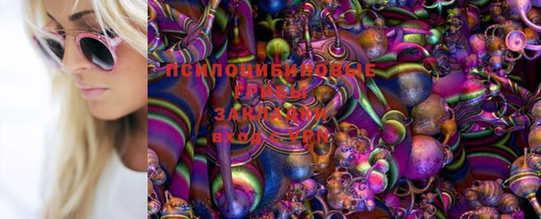 метадон Лагань