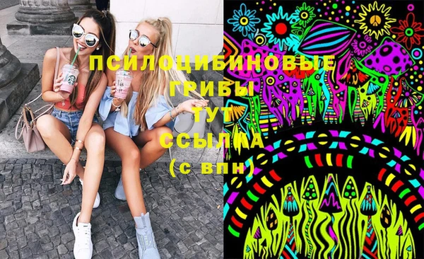 метадон Лагань