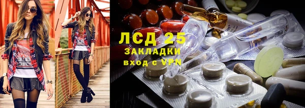 метадон Лагань