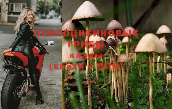 кокаин премиум Лабытнанги