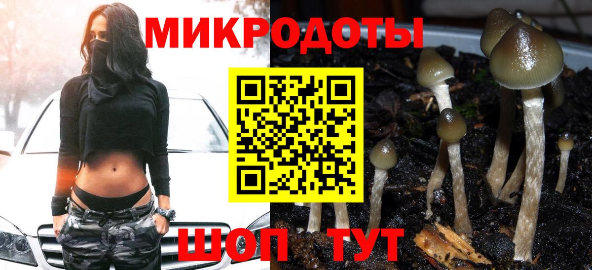 Псилоцибиновые грибы Magic Shrooms Евпатория