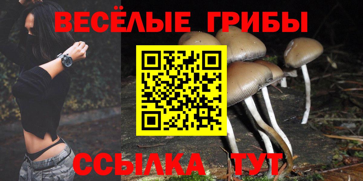Евпатория  Галлюциногенные грибы Psilocybine cubensis  где найти наркотики  Вход с VPN 